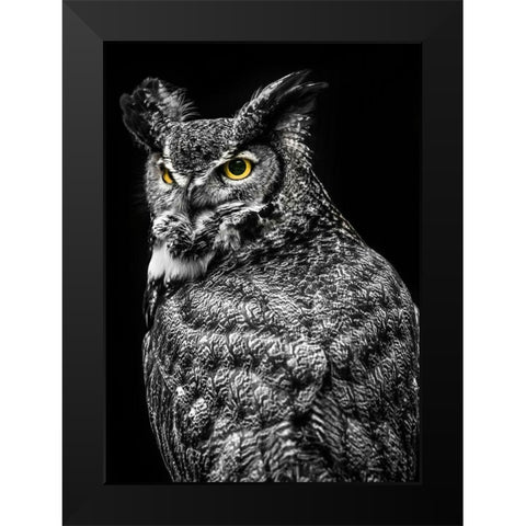 Wisdom Owl II Black Modern Wood Framed Art Print by Ronin