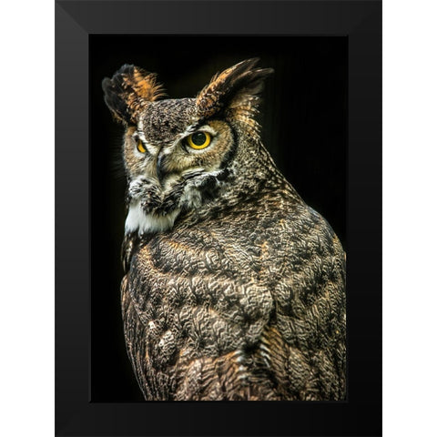 Wisdom Owl III Black Modern Wood Framed Art Print by Ronin