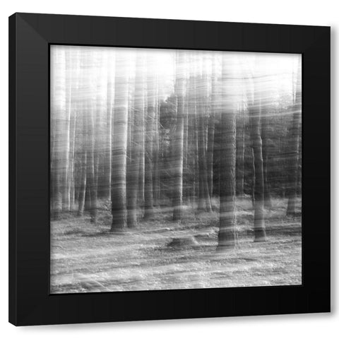 Day Break Black Modern Wood Framed Art Print with Double Matting by Stein, Oliver