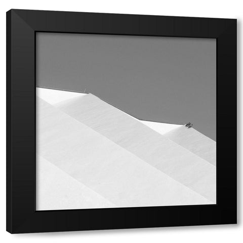 Three Doves Black Modern Wood Framed Art Print with Double Matting by Stein, Oliver