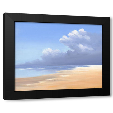 Birds on the Beach Black Modern Wood Framed Art Print with Double Matting by Groenhart, Jan