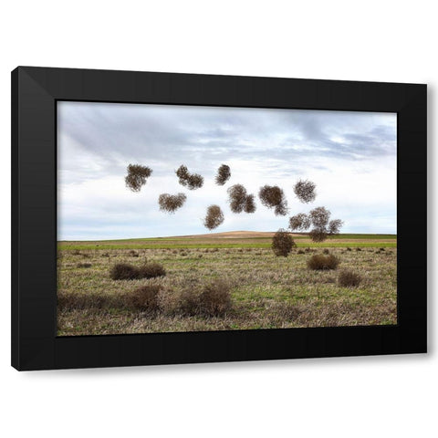 Pause Número II Black Modern Wood Framed Art Print with Double Matting by Vallinas Prieto, Miguel