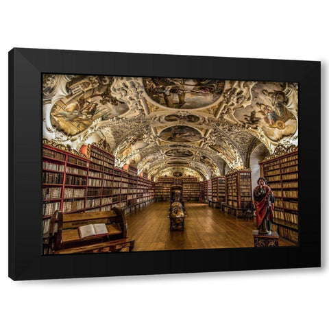Beautiful old Library Black Modern Wood Framed Art Print with Double Matting by Ronin