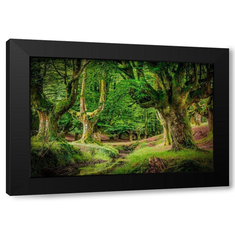 Otzarreta Forest II Black Modern Wood Framed Art Print by Ronin