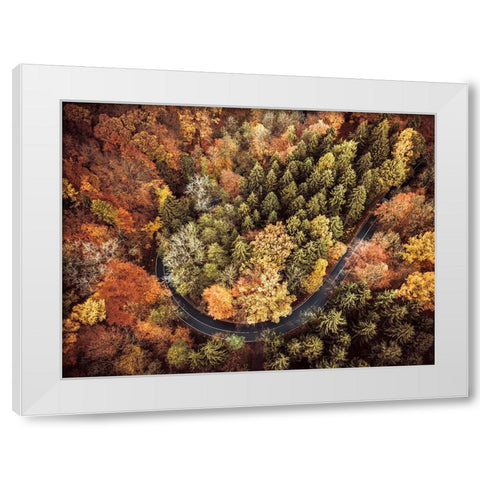 Aerial 15 White Modern Wood Framed Art Print by Lee, Rachel