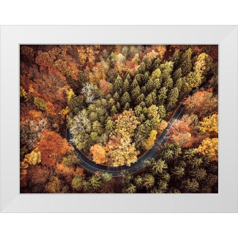 Aerial 15 White Modern Wood Framed Art Print by Lee, Rachel
