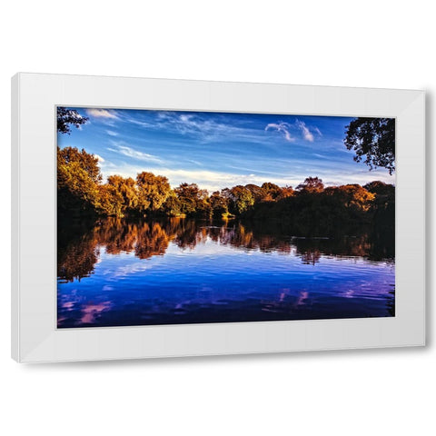 Afternoon Pond White Modern Wood Framed Art Print by Lee, Rachel