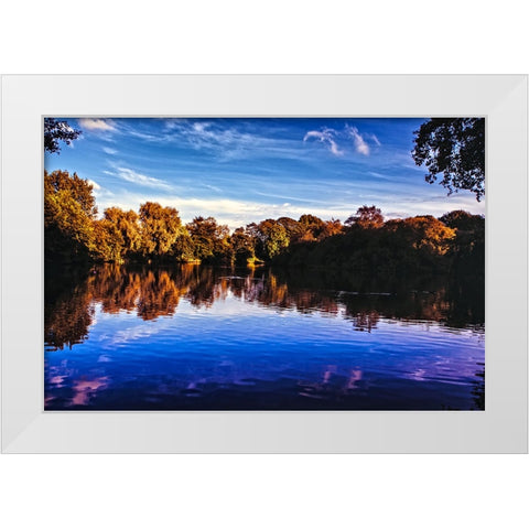 Afternoon Pond White Modern Wood Framed Art Print by Lee, Rachel