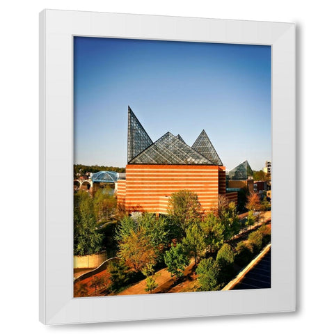 Aquarium From Above White Modern Wood Framed Art Print by Lee, Rachel