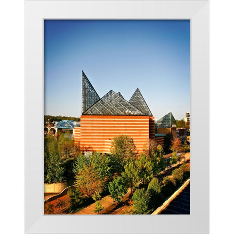 Aquarium From Above White Modern Wood Framed Art Print by Lee, Rachel