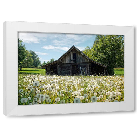 Barn 4 White Modern Wood Framed Art Print by Lee, Rachel