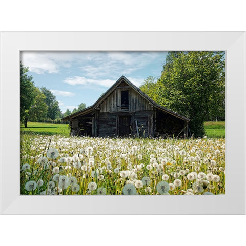 Barn 4 White Modern Wood Framed Art Print by Lee, Rachel