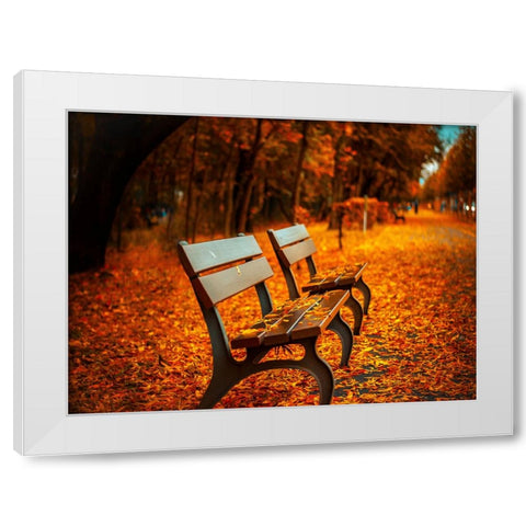 Bench 1 White Modern Wood Framed Art Print by Lee, Rachel