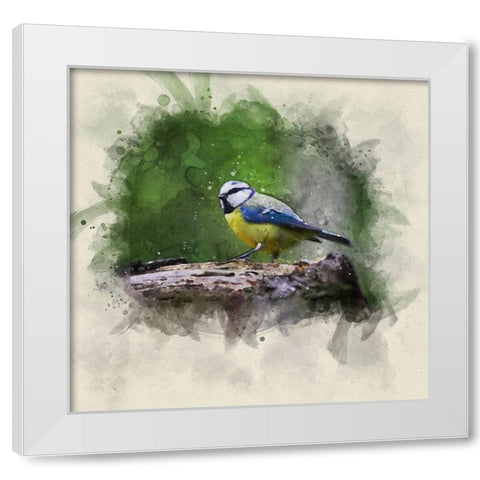 Bird 22 Watercolor White Modern Wood Framed Art Print by Lee, Rachel
