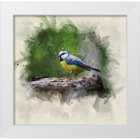 Bird 22 Watercolor White Modern Wood Framed Art Print by Lee, Rachel