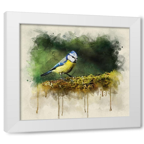 Bird 3 Watercolor White Modern Wood Framed Art Print by Lee, Rachel