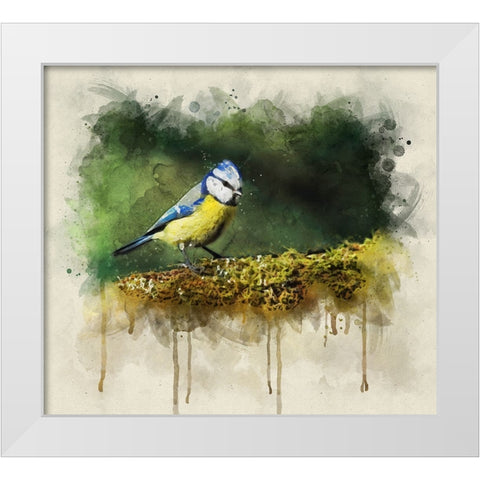 Bird 3 Watercolor White Modern Wood Framed Art Print by Lee, Rachel