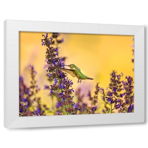 Bird 50 White Modern Wood Framed Art Print by Lee, Rachel