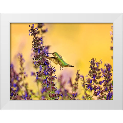 Bird 50 White Modern Wood Framed Art Print by Lee, Rachel