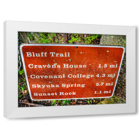 Bluff Trail Sign White Modern Wood Framed Art Print by Lee, Rachel