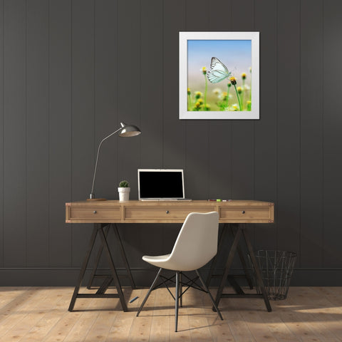 Butterfly 10 Dyptych Panel 1 White Modern Wood Framed Art Print by Lee, Rachel