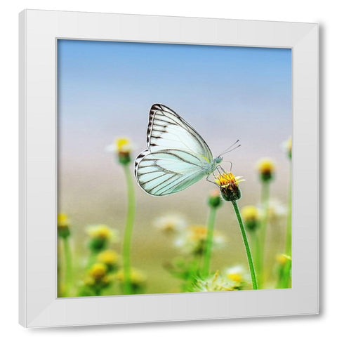 Butterfly 10 Dyptych Panel 1 White Modern Wood Framed Art Print by Lee, Rachel