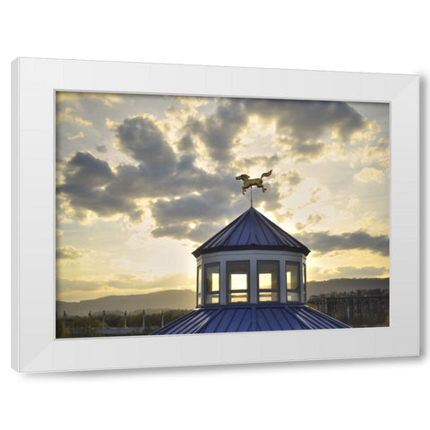 Carousel Last Light White Modern Wood Framed Art Print by Lee, Rachel