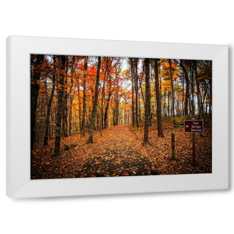 Cool Springs Overlook White Modern Wood Framed Art Print by Lee, Rachel