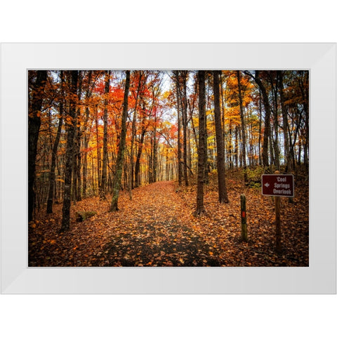 Cool Springs Overlook White Modern Wood Framed Art Print by Lee, Rachel