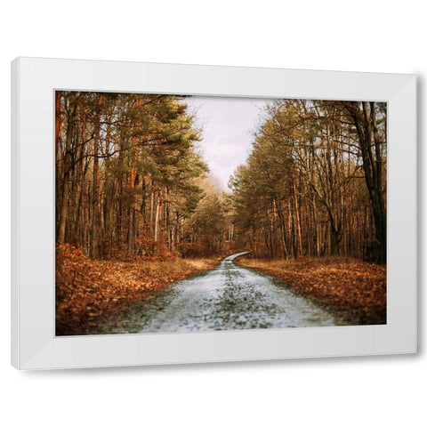 Country Road 16 White Modern Wood Framed Art Print by Lee, Rachel