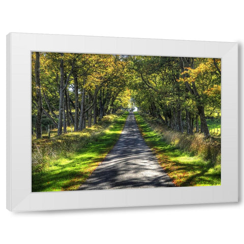 Country Road 21 White Modern Wood Framed Art Print by Lee, Rachel