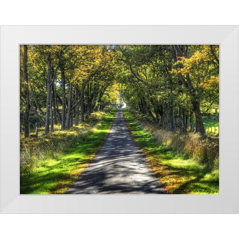 Country Road 21 White Modern Wood Framed Art Print by Lee, Rachel