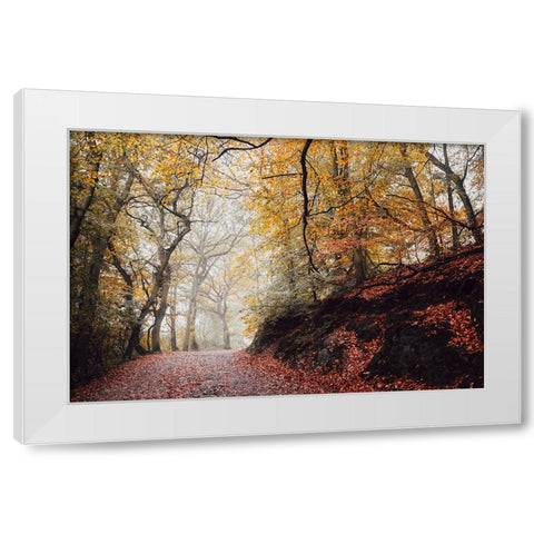 Country Road 4 White Modern Wood Framed Art Print by Lee, Rachel