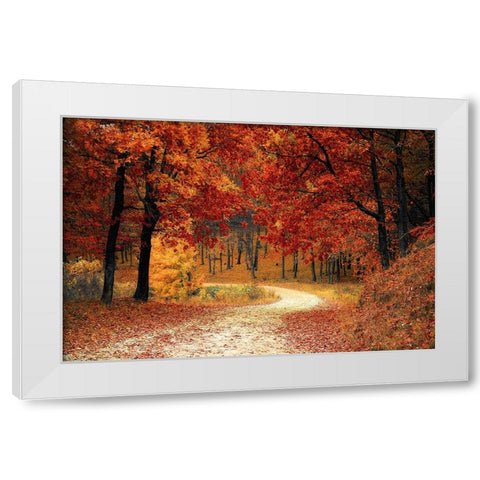 Country Road 9 White Modern Wood Framed Art Print by Lee, Rachel