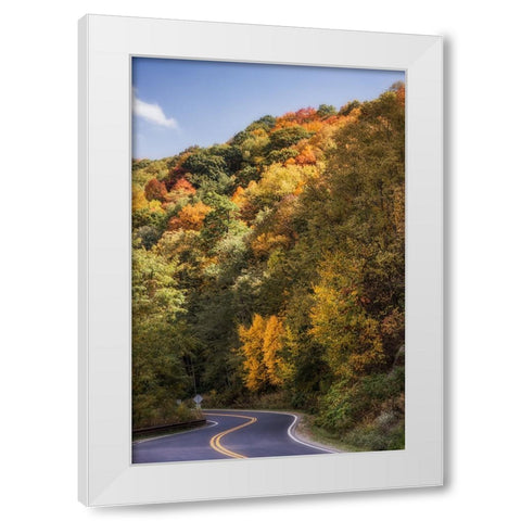 Fall Bend White Modern Wood Framed Art Print by Lee, Rachel