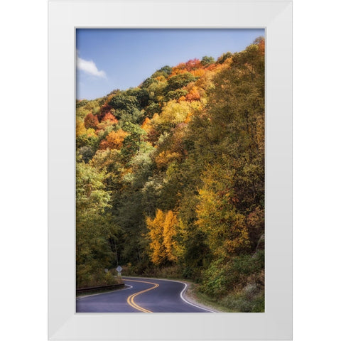 Fall Bend White Modern Wood Framed Art Print by Lee, Rachel