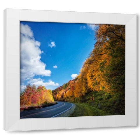 Fall Curve White Modern Wood Framed Art Print by Lee, Rachel