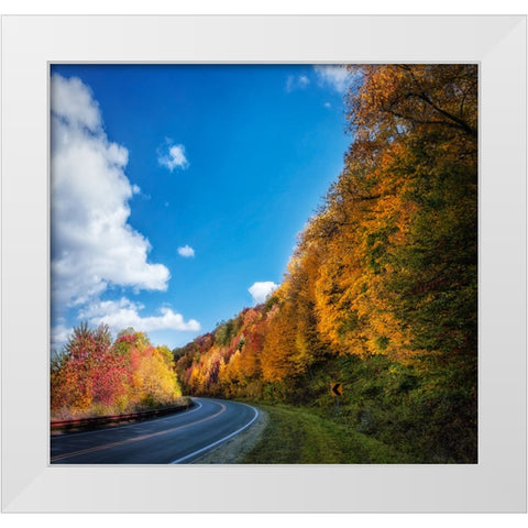 Fall Curve White Modern Wood Framed Art Print by Lee, Rachel