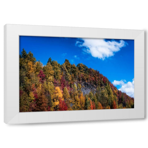 Fall Ridge White Modern Wood Framed Art Print by Lee, Rachel