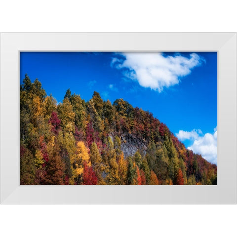 Fall Ridge White Modern Wood Framed Art Print by Lee, Rachel