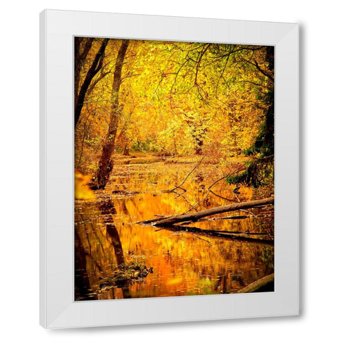 Fall Stream White Modern Wood Framed Art Print by Lee, Rachel