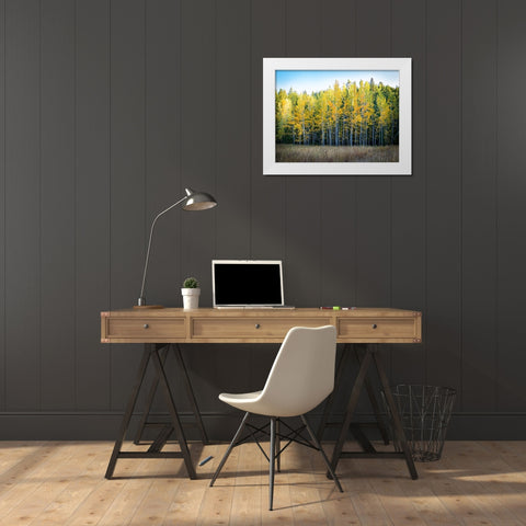 Fall Trees 10 White Modern Wood Framed Art Print by Lee, Rachel