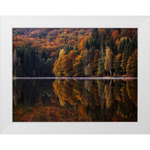 Fall Trees 13 White Modern Wood Framed Art Print by Lee, Rachel