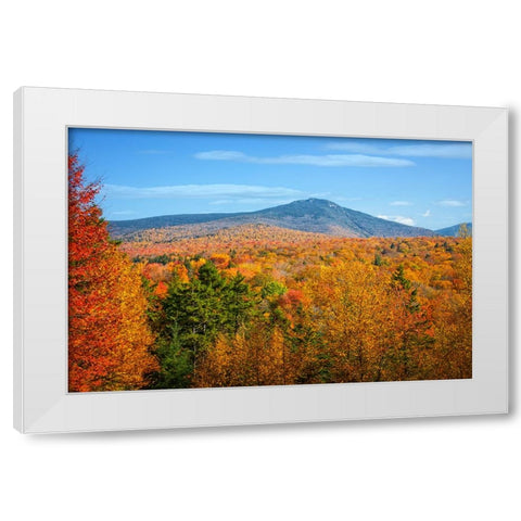 Fall Trees 6 White Modern Wood Framed Art Print by Lee, Rachel