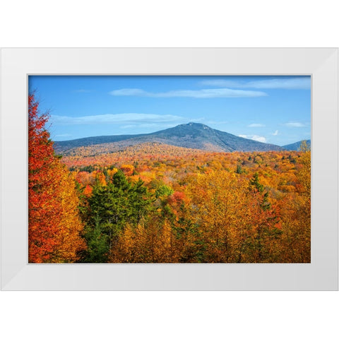 Fall Trees 6 White Modern Wood Framed Art Print by Lee, Rachel