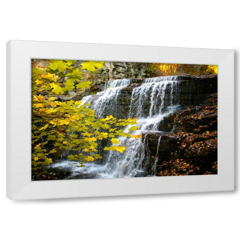 Fall Waterfall White Modern Wood Framed Art Print by Lee, Rachel