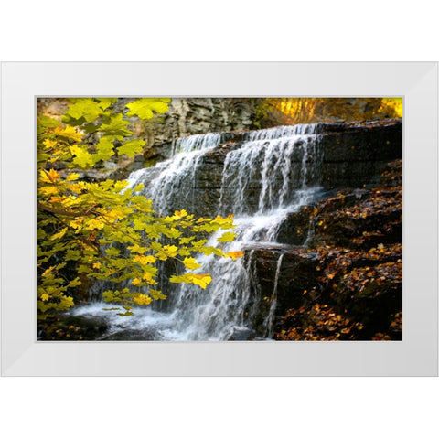Fall Waterfall White Modern Wood Framed Art Print by Lee, Rachel