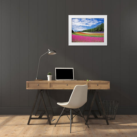 Field 19 White Modern Wood Framed Art Print by Lee, Rachel