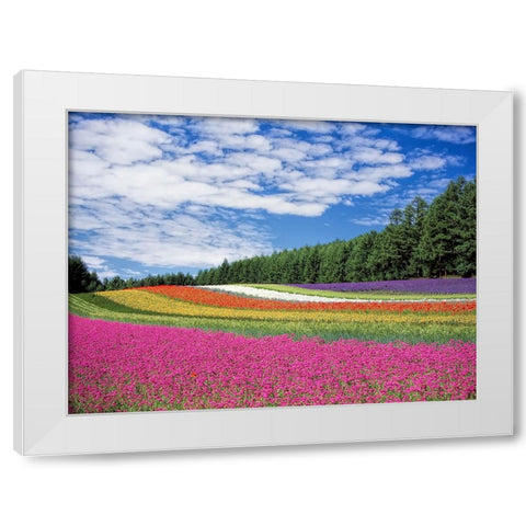Field 19 White Modern Wood Framed Art Print by Lee, Rachel
