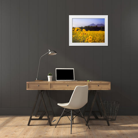 Field 22 White Modern Wood Framed Art Print by Lee, Rachel